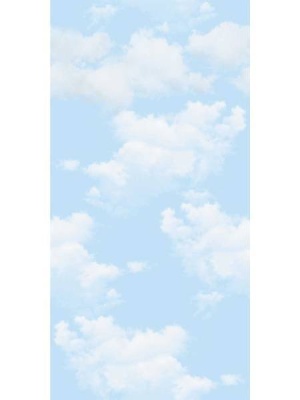 Потолочные панели с рисунком Облака 250х2700х8 мм фото