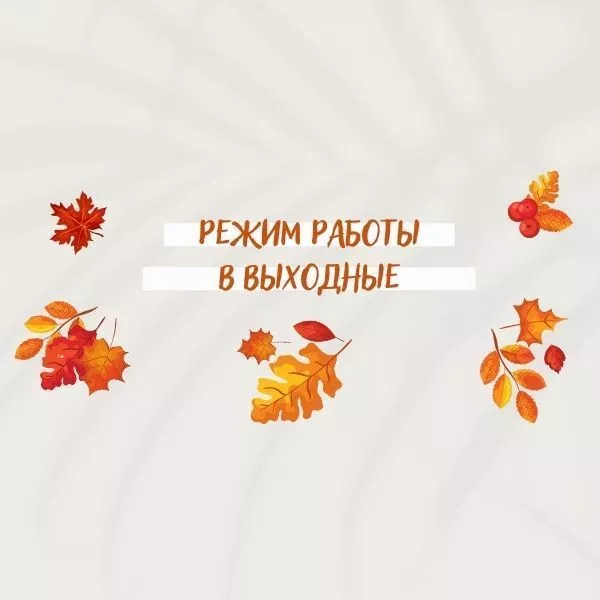 Фото. Режим работы в выходные с 30 октября по 7 ноября