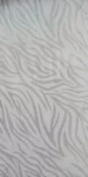 Северное сияние