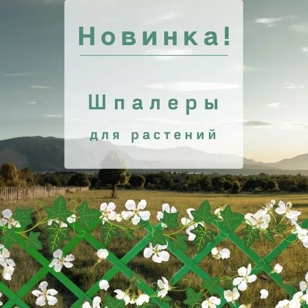 Фото. Шпалеры для растений - удачное начало сезона!