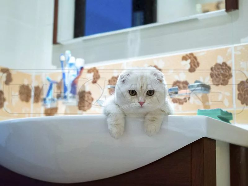 уголок для плитки фото.jpg