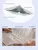 Пленка рисунок Клетка. Фото. Интернет-магазин ПВХ Маркет