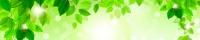 Фартуки АБС Зеленая листва ЛАК 600 мм длина 3 м каталог товаров 