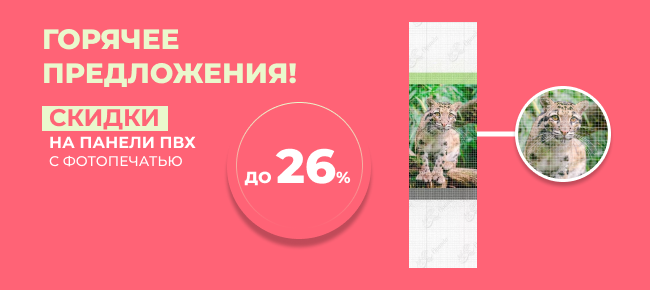 Полноцветная печать выгодно ☎ +7(812)372-75-19