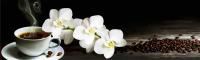 Кухонный фартук АБС пластик Белая орхидея и кофе 600 мм (длина 2 м)  отзывы
