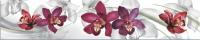 Фартуки АБС Орхидеи ЛАК 600 мм длина 3 м каталог товаров 