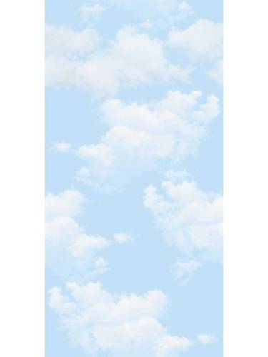 Пластиковые панели для потолков с рисунком Облака 250х2700х8 мм фото
