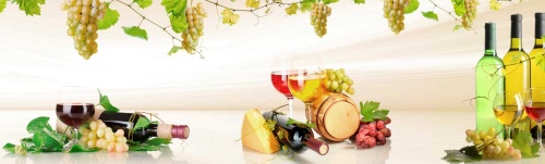 АБС пластик для фартука отзывы Вино и виноград 