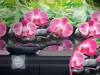 Экран для кухни из пластика Орхидеи эпифиты 600 мм (длина 2 м)