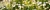 Фартуки АБС Ромашки в цвету ЛАК 600 мм длина 3 м каталог товаров 