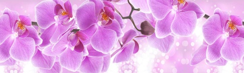 АБС пластик для фартука отзывы Волшебные орхидеи 