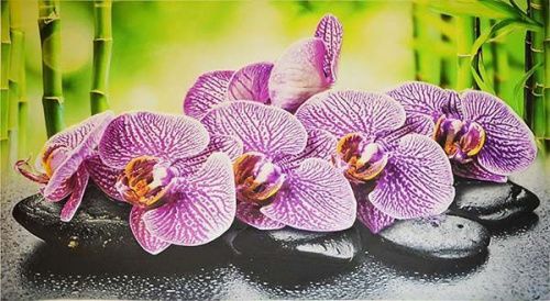 Цветное панно на кухне фото Орхидея Ванда 600х1000 мм х мм
