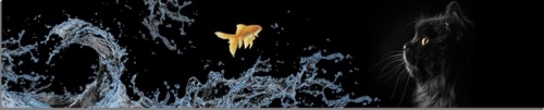 Панель АБС фартук Золотая рыбка 600 мм (длина 3 м)