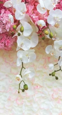 Экран для кухни из пластика Нежность  (длина 3 м)