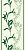 ПВХ-панели "Орхидеи изумруд 339/3" купить недорого