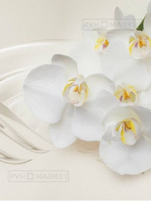 Фартук для кухни из ПВХ с фотопечатью Молочная орхидея 600 мм (длина 3 м).
