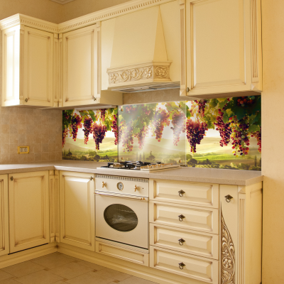 Цветное панно на кухне фото Виноградная лоза (виноградник) 600х1000 мм х мм