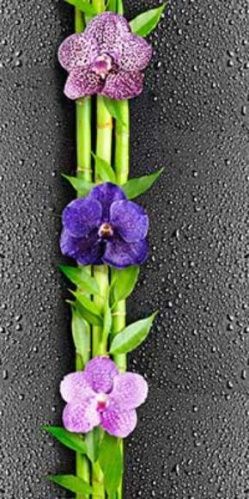 Панели ПВХ "Орхидея 351" фото цена