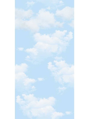 Пластиковые панели для потолков с рисунком Облака 250х3000х8 мм фото