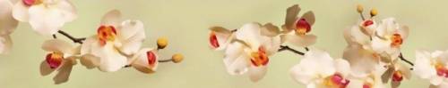 Кухонный фартук из АБС Нежные орхидеи ЛАК 600 мм (длина 3 м) отзывы
