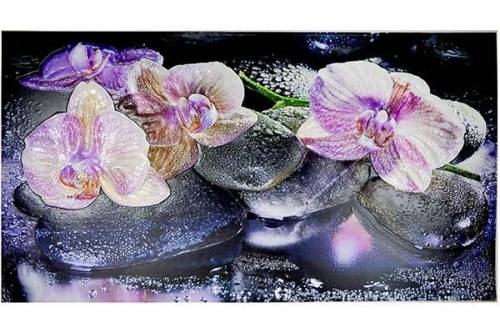 Цветное панно на кухне фото Орхидеи на камне 602х1002 мм х мм