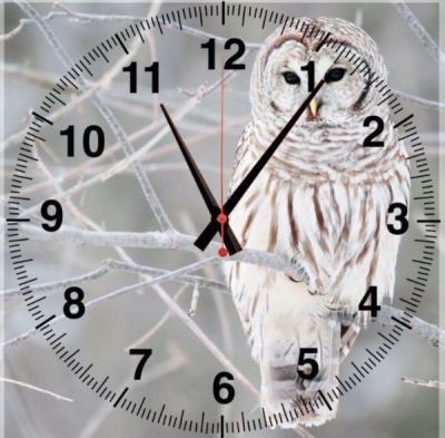 Часы на стене Стеклянные с фотопечатью Сова 30х30 см. фото ПВХ Маркет