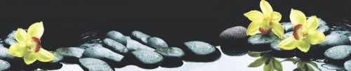 Кухонный фартук из АБС Орхидеи в воде ЛАК 600 мм (длина 3 м) отзывы
