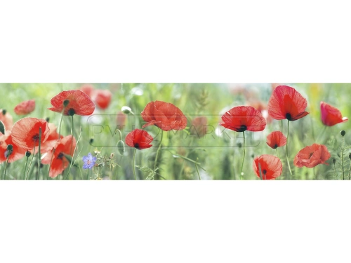 Панель АБС фартук Маковый цвет ЛАК 0,6 м (длина 3 м)