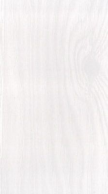 Панели ПВХ под лаком "Белый ясень 27/1" фон панель от Центурион™ фото и цены