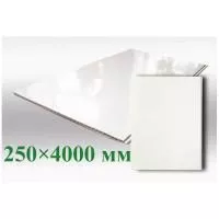 ПВХ панель Белый глянец 250х4000х8 мм для ванны фото в интерьере