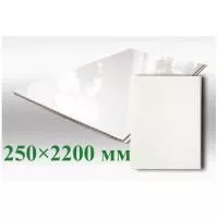 ПВХ панель Белый глянец 250х2200х8 мм для ванны фото в интерьере