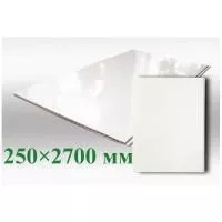 ПВХ панель Эколайн белый глянец VOX 250х2700х8 мм для ванны фото в интерьере