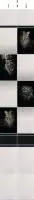 Панели ПВХ с фотопечатью "Ночные охотники узор" панно от Центурион™ фото и цены