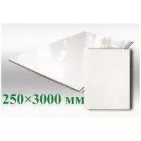 ПВХ панель Белый глянец 250х3000х8 мм для ванны фото в интерьере