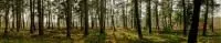 Фартуки АБС Пробуждение леса ЛАК 600 мм длина 3 м каталог товаров 