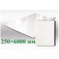 ПВХ панель Белый глянец 250х6000х8 мм для ванны фото в интерьере
