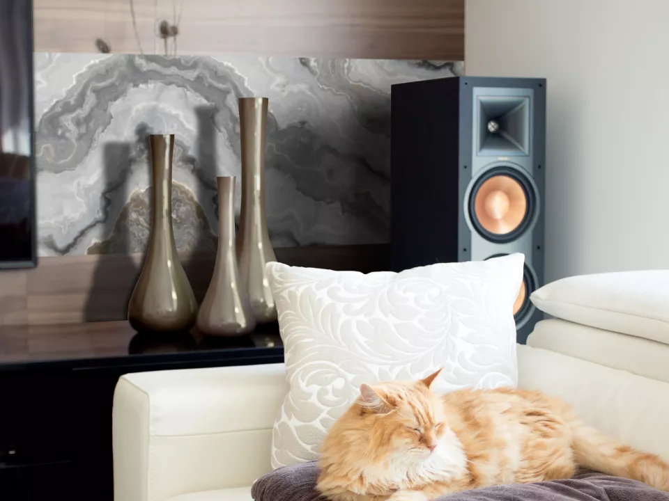 Монтаж ПВХ фартука в разных зонах квартиры – ремонт быстро и просто ...